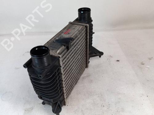 Intercooler RENAULT CLIO III (BR0/1, CR0/1) 1.5 dCi (BR17, CR17) | BP24642480M30
