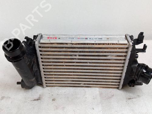 Used Water radiator DACIA SANDERO III [2021-2025]  24447926