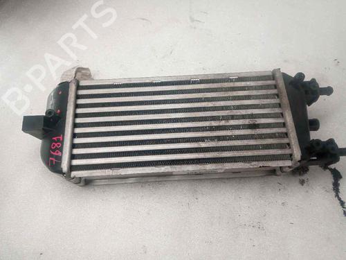 Radiatore acqua FORD KA (RU8) 1.2 (69 hp) 18099748