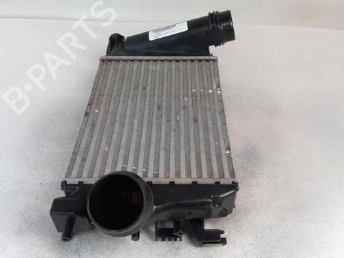 Used Intercooler RENAULT MEGANE IV Hatchback (B9A/M/N_) [2015-2025]  25868374