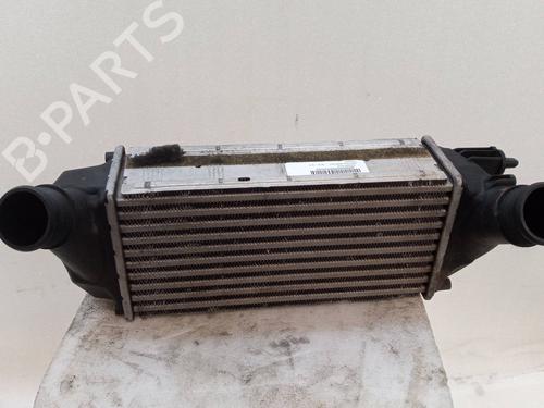 Water radiator FORD FIESTA VI (CB1, CCN)  | BP24293070M31