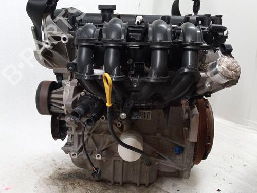 Motor FORD FIESTA VI (CB1, CCN) 1.25 (82 hp) 20142443