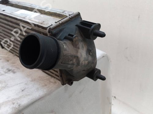 Water radiator FORD FIESTA VI (CB1, CCN)  | BP24293070M31