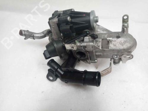 Egr CITROËN C4 II (NC_) | BP15137776M69