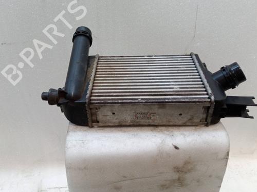 Water radiator DACIA LOGAN MCV II  | BP24219847M31