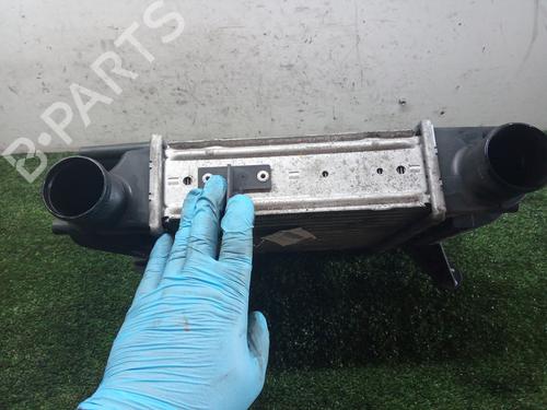 Intercooler NISSAN TIIDA Saloon (SC11) 1.5 dCi | BP9739579M30 
