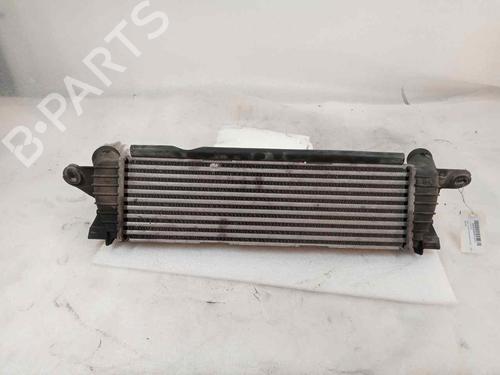 Used Intercooler RENAULT KANGOO (KC0/1_) 1.9 dCi 4x4 (KC0V) (80 hp) 17951260