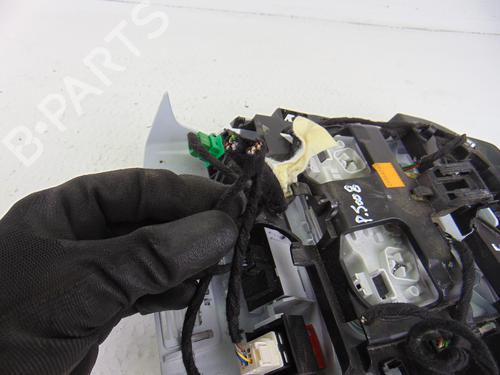 Interior roof light PEUGEOT 5008 II (MC_, MJ_, MR_, M4_)  | BP10284379I8 