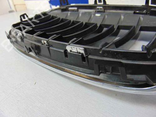 Grille BMW X1 (F48) sDrive 18 d | BP10245131C40
