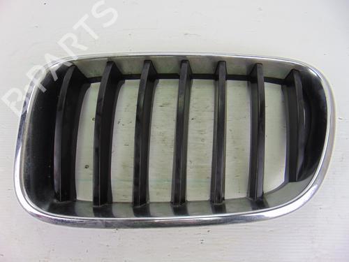 Used Grille BMW X3 (F25) sDrive 18 d (150 hp) 14048815