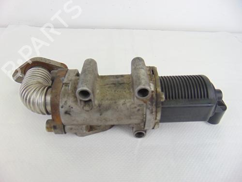 Egr FIAT GRANDE PUNTO (199_) 1.9 D Multijet | BP11331013M69 