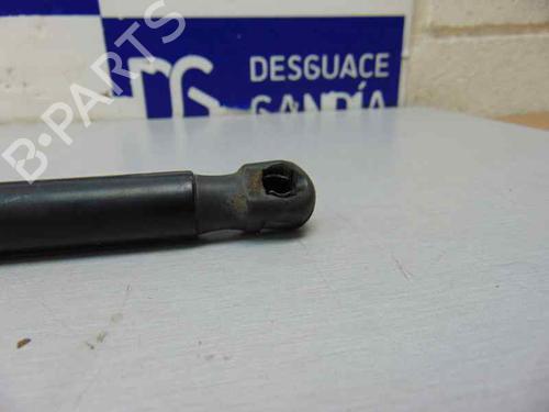 Tailgate lift support FORD FOCUS III 1.6 TDCi | BP14048047C138 