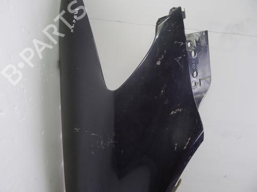 Right front fenders VW PHAETON (3D1, 3D2, 3D3, 3D4, 3D6, 3D7, 3D8, 3D9) 3.0 V6 TDI 4motion | BP10345270C42 