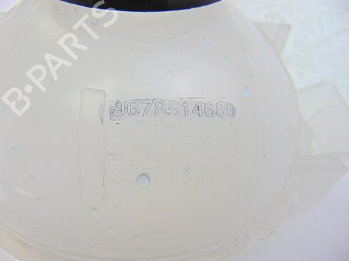 Expansion tank PEUGEOT 3008 II SUV (MC_, MR_, MJ_, M4_) 1.6 BlueHDi 120 | BP10136390C120 