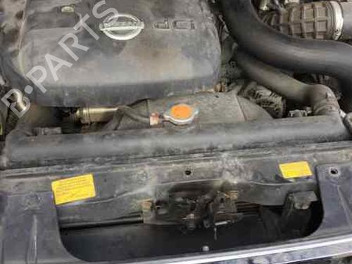 Gearbox NISSAN NAVARA NP300 (D40) 2.5 dCi 4WD | BP12431820M3