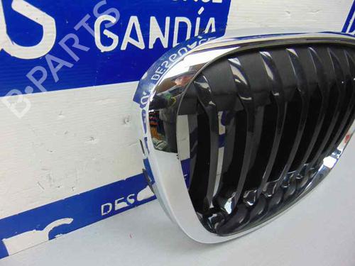 Grille BMW X1 (F48) sDrive 18 d | BP10245130C40 