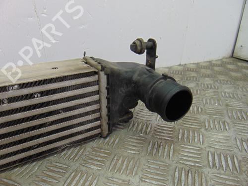 Intercooler FIAT 500X (334_)  | BP12584907M30 
