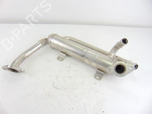 Egr SEAT IBIZA IV (6J5, 6P1)  | BP14049746M69 