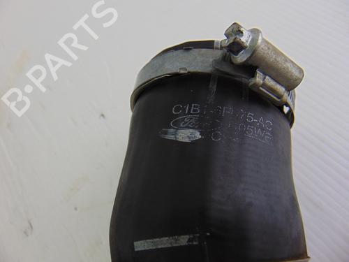 Pipe FORD FIESTA VI (CB1, CCN) 1.0 EcoBoost | BP15947289M125 