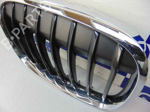 Grille BMW X1 (F48) sDrive 18 d | BP10245130C40 