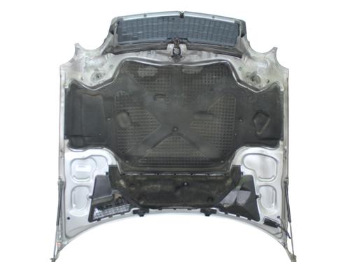 Hood MERCEDES-BENZ E-CLASS (W210) E 300 D (210.020) | BP19631161C1 
