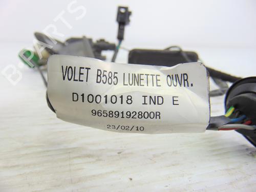 Tailgate handle CITROËN C4 Picasso I MPV (UD_) 2.0 HDi 150 | BP9037512C132 