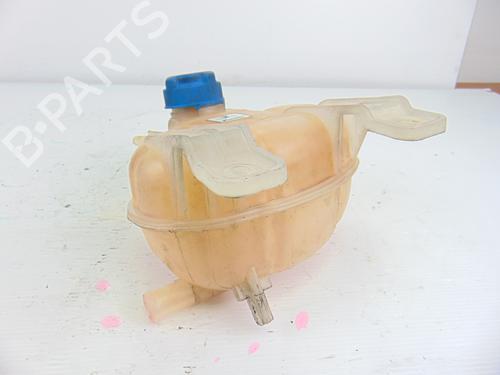 Expansion tank FIAT GRANDE PUNTO (199_)  | BP8805096C120