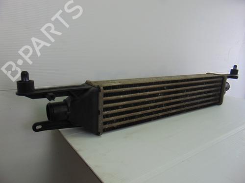 Intercooler FIAT GRANDE PUNTO (199_) 1.4 16V (199BXG1B, 199AXG1B) | BP12432096M30 
