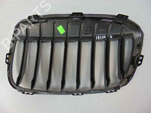 Grille BMW X1 (F48) sDrive 18 d | BP10245130C40 