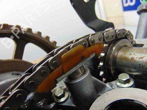 Cylinder head LAND ROVER DISCOVERY III (L319) 2.7 TD 4x4 | BP10974501M5 