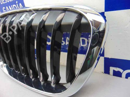 Grille BMW X1 (F48) sDrive 18 d | BP10245131C40