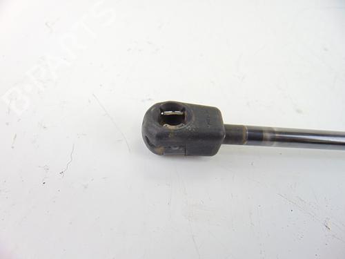 Tailgate lift support MERCEDES-BENZ A-CLASS (W169) A 200 TURBO (169.034, 169.334) | BP14049158C138 