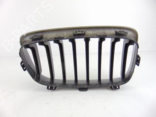 Grille BMW 1 (F20) 116 d | BP14049076C40 