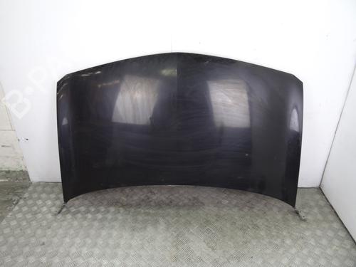 Used Hood RENAULT MEGANE II (BM0/1_, CM0/1_) 1.6 16V (112 hp) 11423127