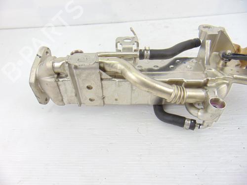 Egr BMW 4 Coupe (F32, F82) 420 d | BP14048585M69 
