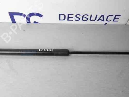 Used Hood lift support BMW X5 (E70) xDrive 30 d (211 hp) 14047974