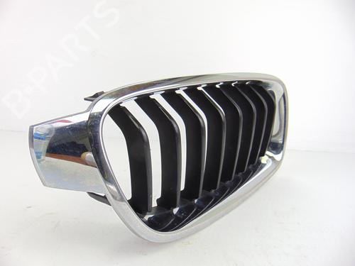 Grille BMW 3 (F30, F80) 320 d | BP14049080C40 