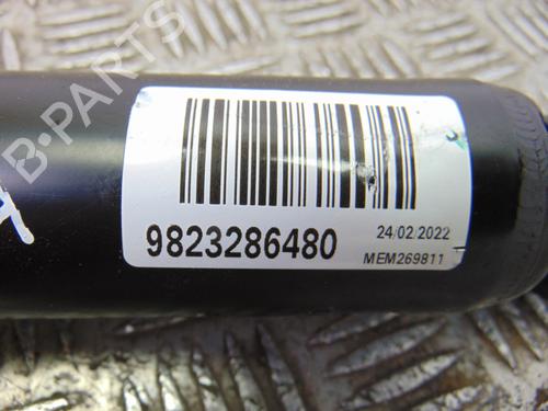 Left rear shock absorber PEUGEOT 5008 II (MC_, MJ_, MR_, M4_)  | BP10235504M18 