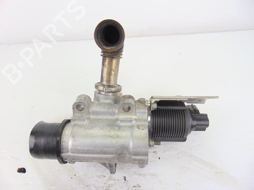 Egr NISSAN ALMERA II (N16) 1.5 dCi (82 hp) 8802796