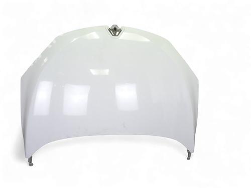 Used Hood RENAULT MEGANE III Grandtour (KZ0/1) 1.5 dCi (KZ09, KZ0D, KZ1G, KZ29, KZ14, KZ1W, KZ10, KZ1F,... (110 hp) 30124084
