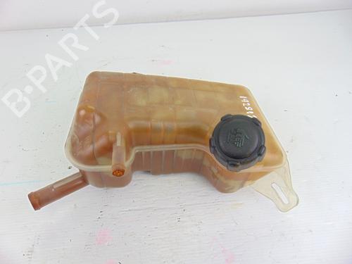 Used Expansion tank RENAULT SCÉNIC II (JM0/1_) [2003-2010]  8807262