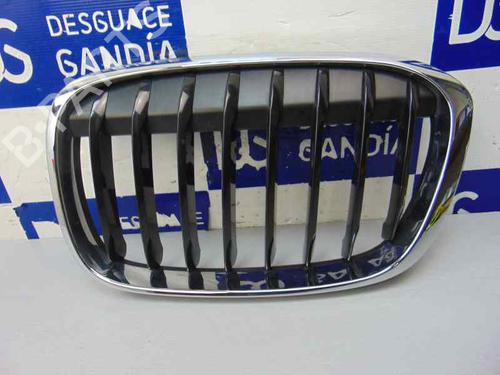 Used Grille BMW X1 (F48) sDrive 18 d (150 hp) 10245131