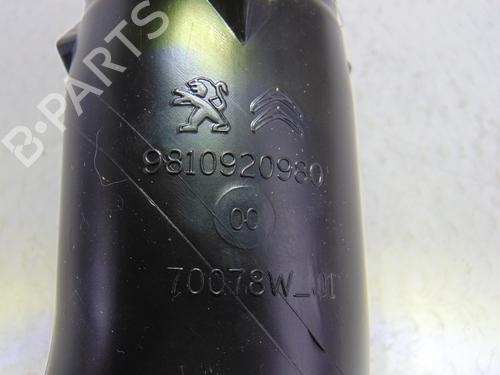 Pipe PEUGEOT 5008 II (MC_, MJ_, MR_, M4_)  | BP14049366M125 