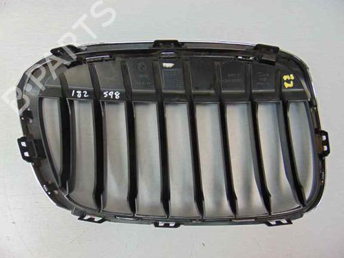 Grille BMW X1 (F48) sDrive 18 d | BP10245131C40