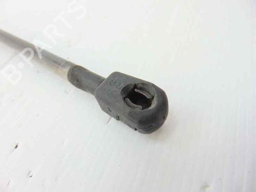 Tailgate lift support SEAT ALHAMBRA (7V8, 7V9) 2.0 TDI | BP14048428C138 