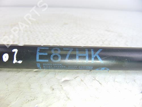 Tailgate lift support BMW 1 (E87) 118 d | BP14049691C138 