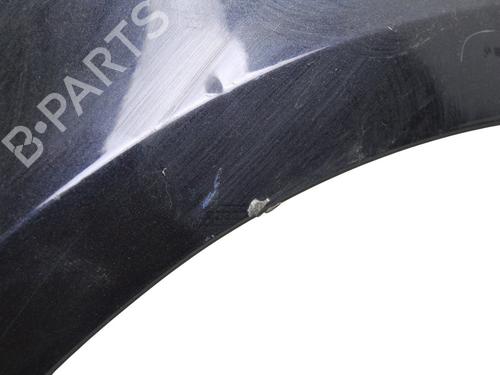 Left front fenders SEAT IBIZA IV (6J5, 6P1)  | BP29520008C41 