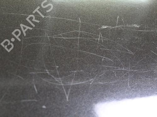 Left rear door DACIA SANDERO II  | BP21066620C4 