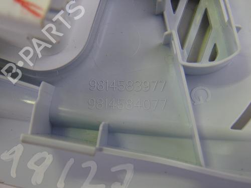 Interior roof light PEUGEOT 3008 II SUV (MC_, MR_, MJ_, M4_) 1.6 BlueHDi 120 | BP10149927I8 
