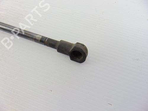 Tailgate lift support BMW 1 (E87) 120 d | BP14048581C138 